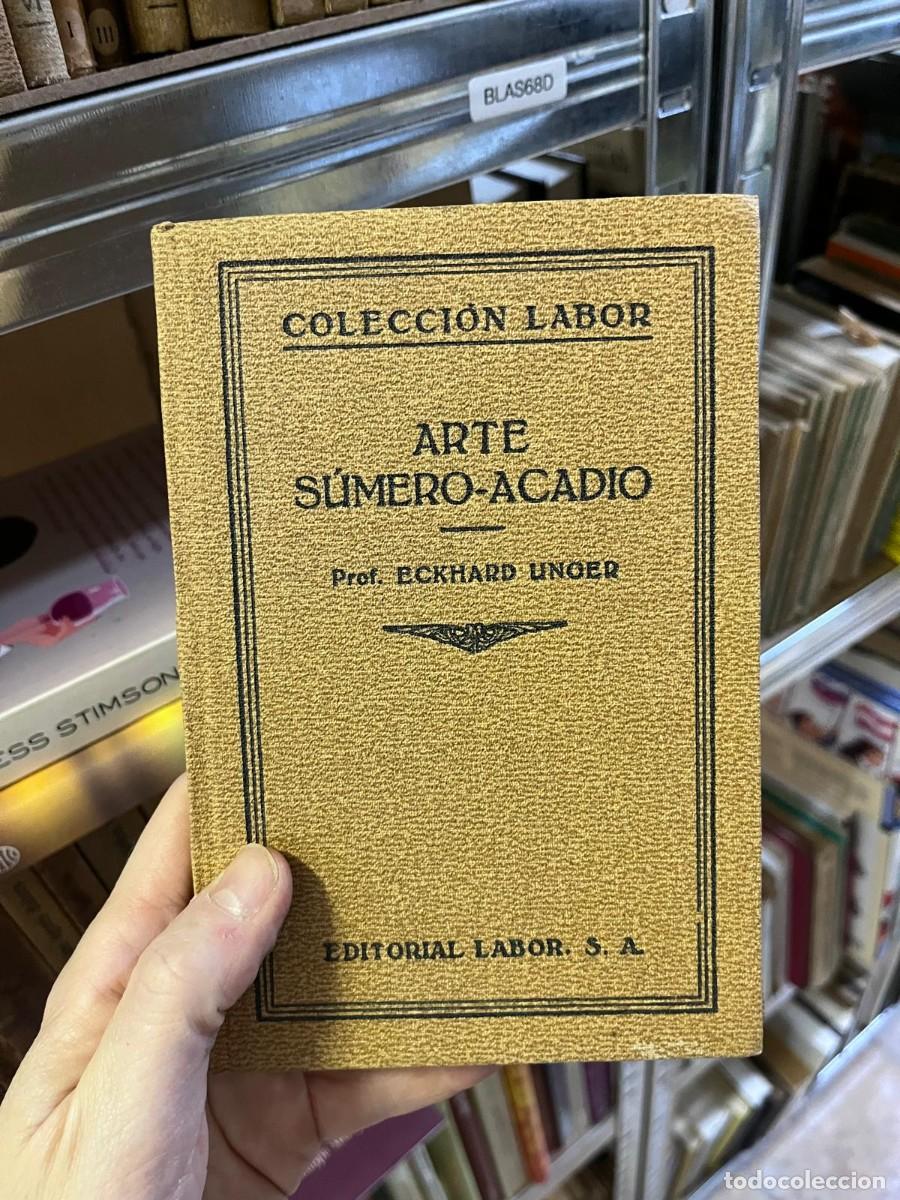 Libros de segunda mano: BLAS68D COLECCI&Oacute;N LABOR - ECKHARD UNGER. ARTE S&Uacute;MER-ACADIO.