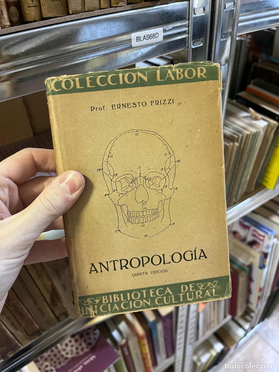 Libros de segunda mano: BLAS68D COLECCI&Oacute;N LABOR - Prof. ERNESTO FRIZZI ANTROPOLOG&Iacute;A QUINTA EDICI&Oacute;N