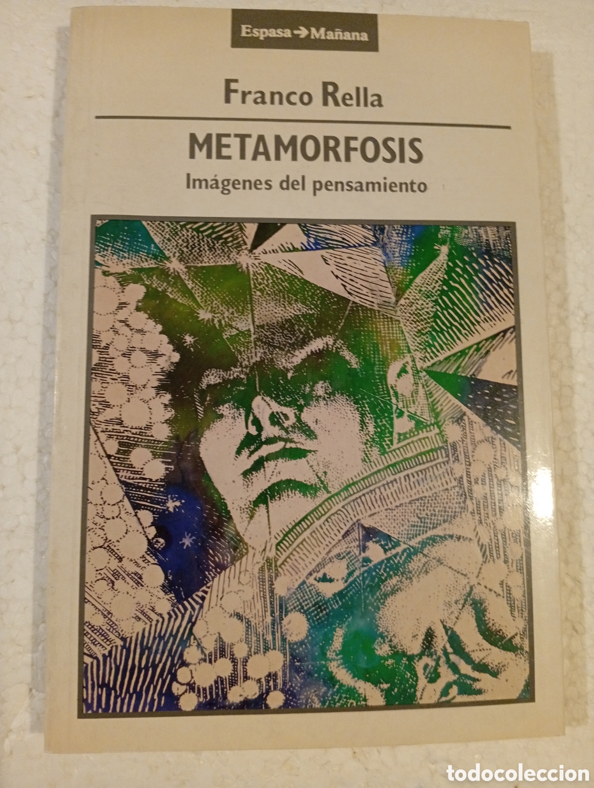 Libros de segunda mano: METAMORFOSIS. IM&Aacute;GENES DEL PENSAMIENTO. FRANCO RELLA. ESPASA CALPE. 1989.