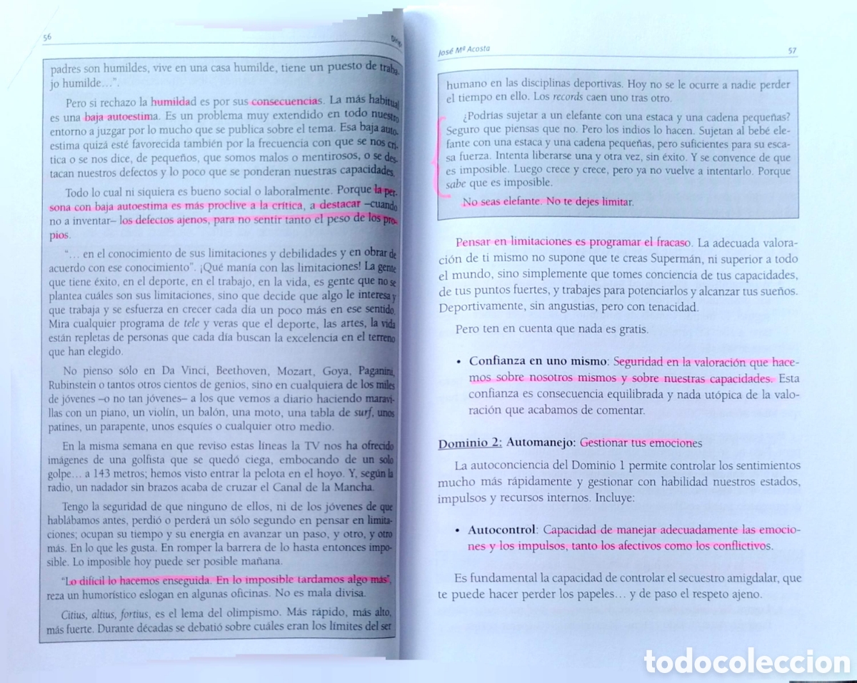 Libros de segunda mano: Dirigir. Jos&eacute; Mar&iacute;a Acosta. ESIC. 2013. - Foto 5