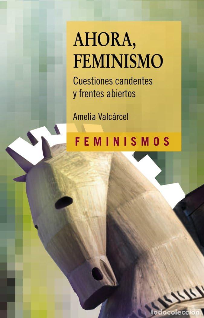 Libros de segunda mano: Ahora, Feminismo: Cuestiones candentes y frentes abiertos