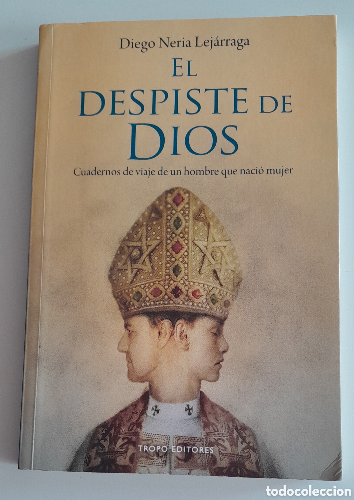 Libros de segunda mano: EL DESPISTE DE DIOS. CUADERNOS DE VIAJE DE UN HOMBRE QUE NACI&Oacute; MUJER. D.NERIA LEJ&Aacute;RRAGA. TROPO ED