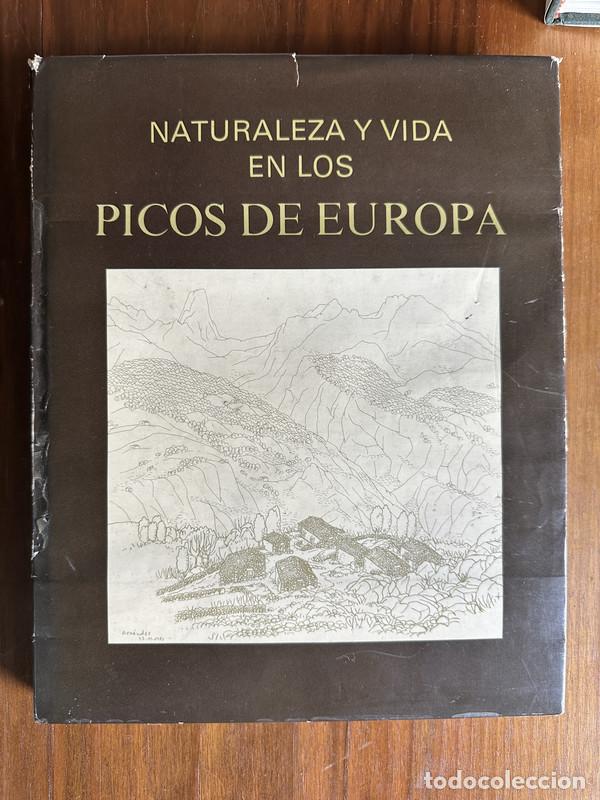 Libros de segunda mano: Naturaleza y Vida en los Picos de Europa - -