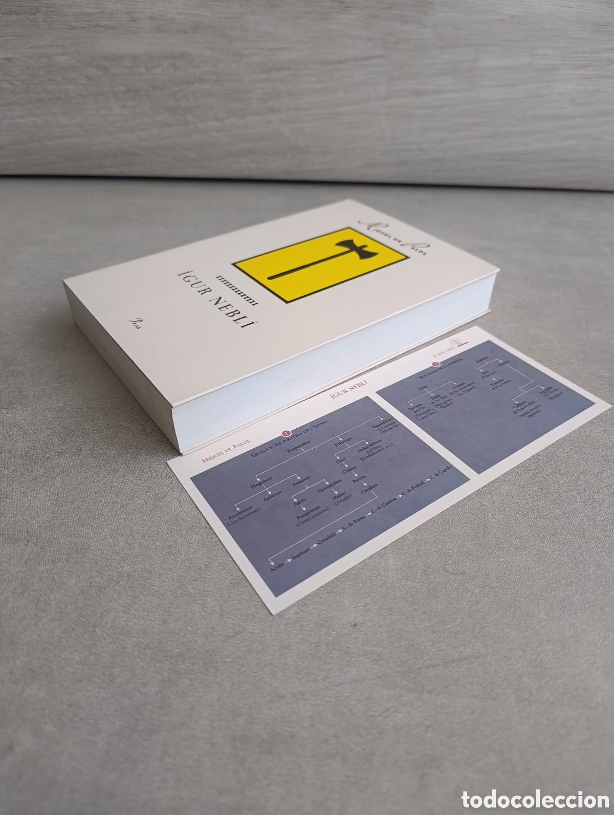 Libros de segunda mano: &Iacute;gur Nebl&iacute;. Miquel de Palol. Proa - Foto 9