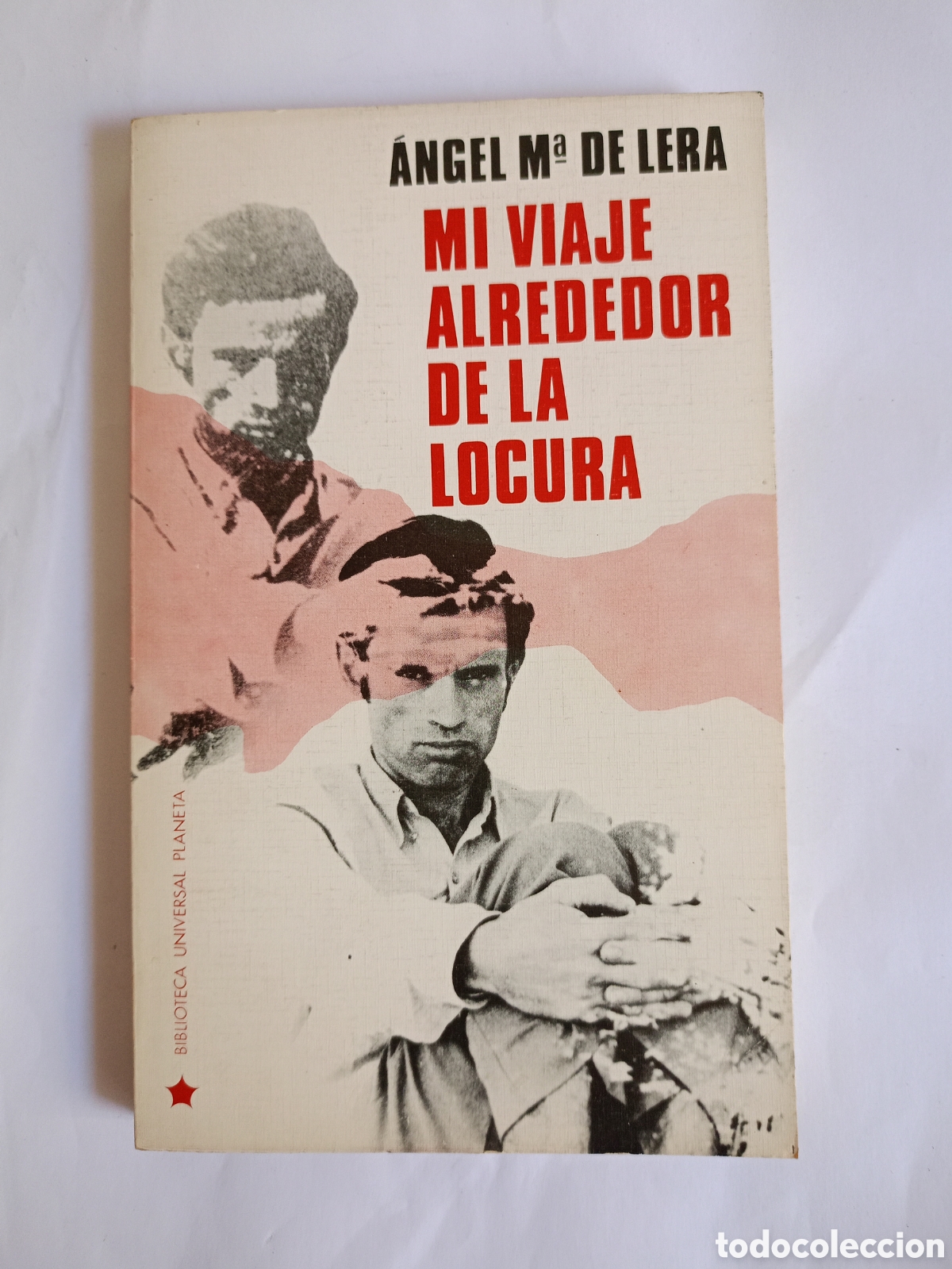 Libros de segunda mano: Mi viaje alrededor de la locura &Aacute;ngel Mar&iacute;a de Lera Pla