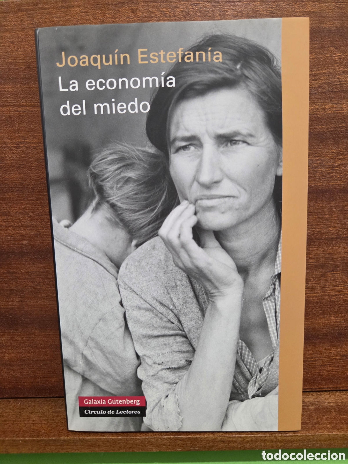 Libros de segunda mano: JOAQUIN ESTEFAN&Iacute;A...&rdquo;&rdquo;LA ECONOMIA DEL MIEDO&rdquo;&rdquo;...CIRCULO DE LECTORES...GALAXIA GUTEMBERG...2011..