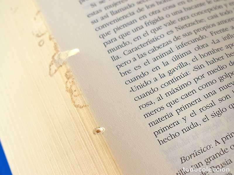 Libros de segunda mano: Obras Completas II. Prosa 1, 2 & 3 - Gottfried Benn - Foto 3