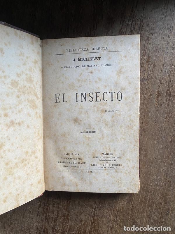 Libros de segunda mano: El Insecto - Michelet J. - Foto 1