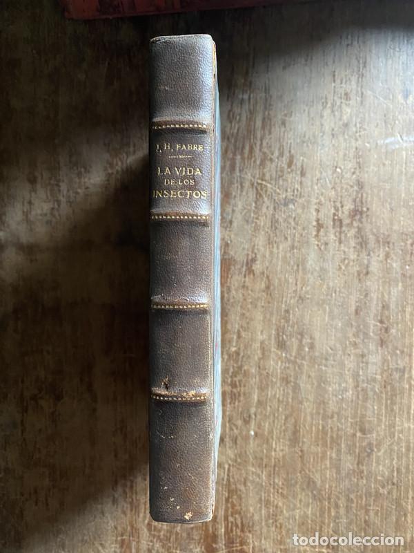 Livres d'occasion: La vida de los insectos - Fabre J. H.