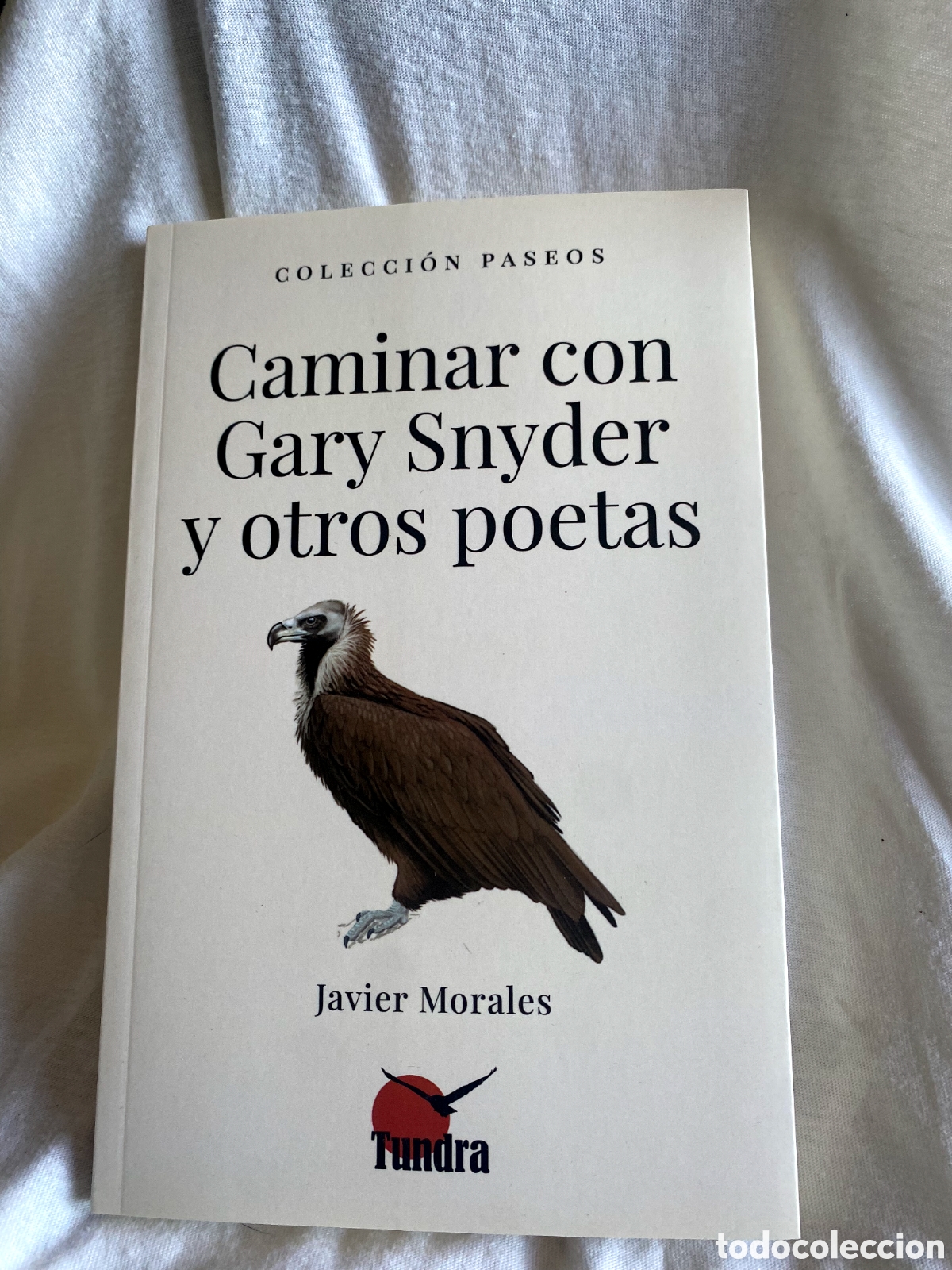 Libros de segunda mano: Javier Morales titulado Caminar con Gary Snyder y otros poetas