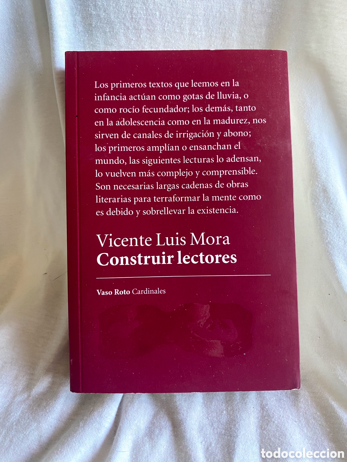 Libros de segunda mano: CONSTRUIR LECTORES - MORA, VICENTE LUIS