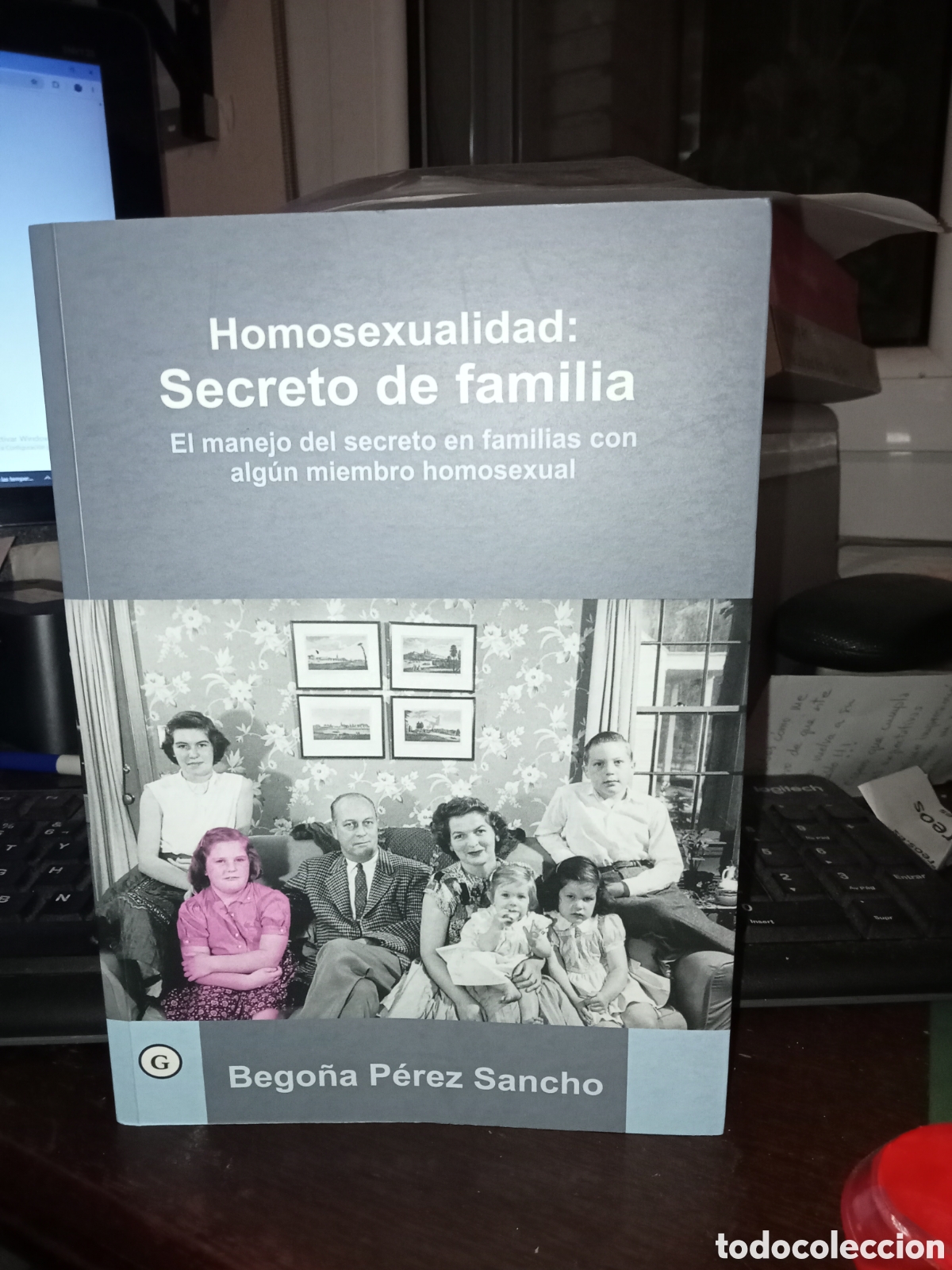 Libros de segunda mano: Homosexualidad secreto de familia Bego&ntilde;a P&eacute;rez S&aacute;ncho Egales 2018