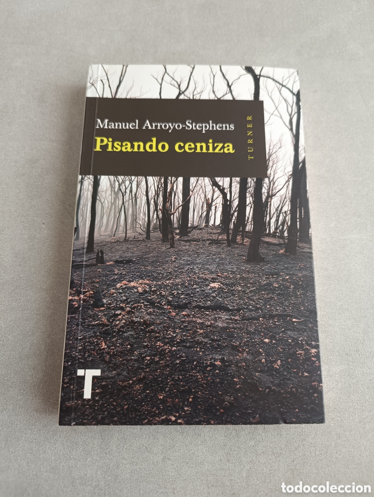 Libros de segunda mano: PISANDO CENIZA - ARROYO STEPHENS, MANUEL - Foto 2