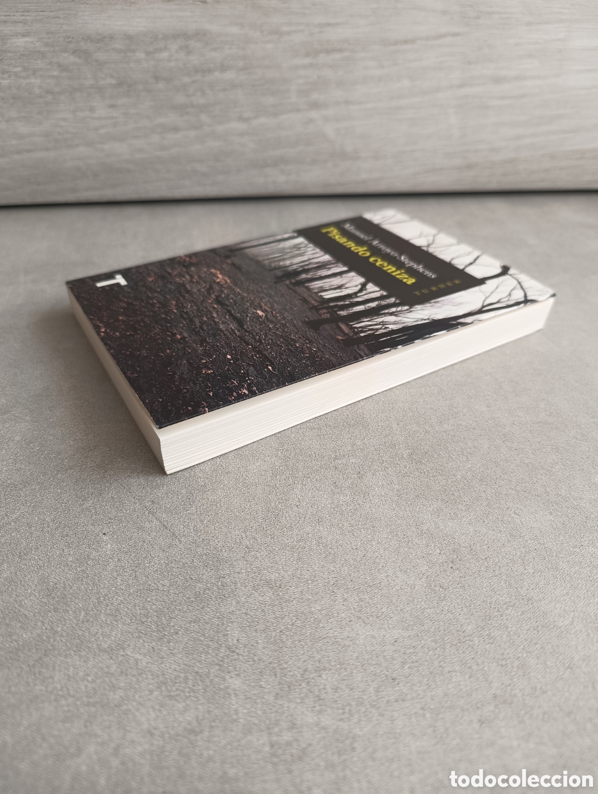 Libros de segunda mano: PISANDO CENIZA - ARROYO STEPHENS, MANUEL - Foto 7