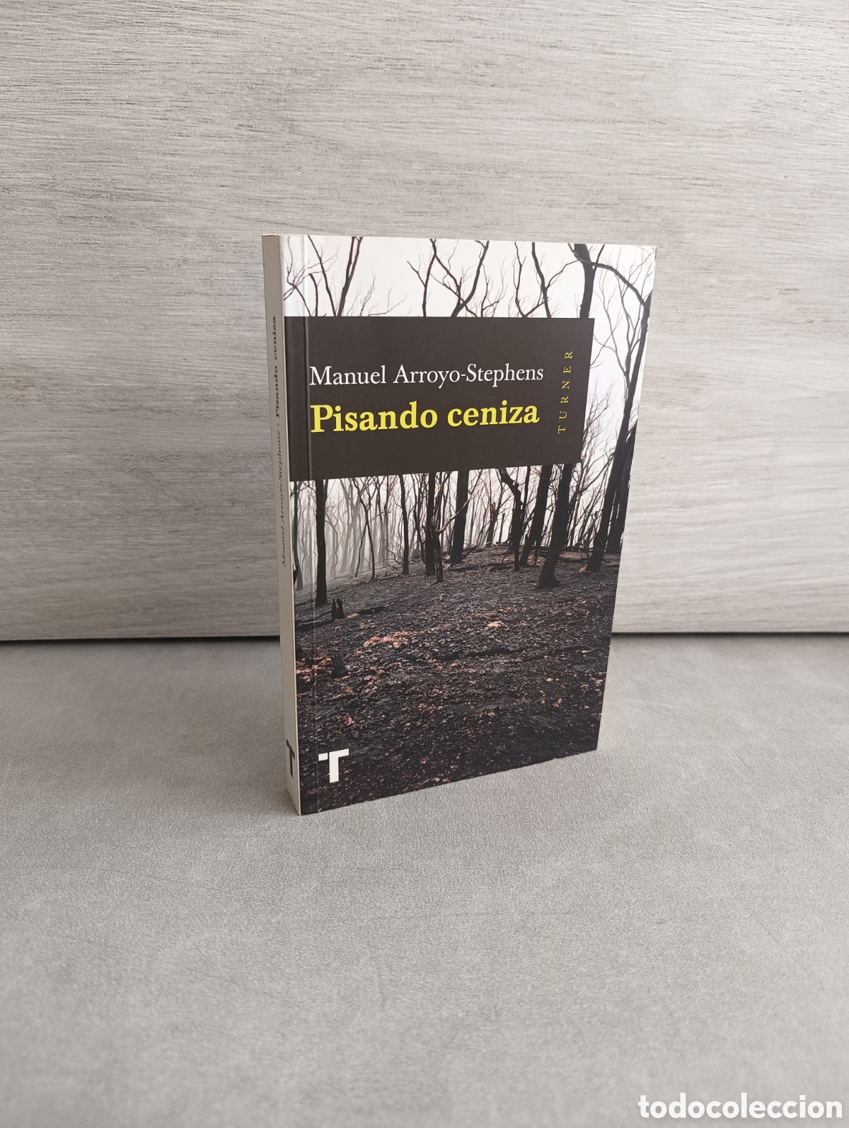 Gebrauchte B&uuml;cher: PISANDO CENIZA - ARROYO STEPHENS, MANUEL