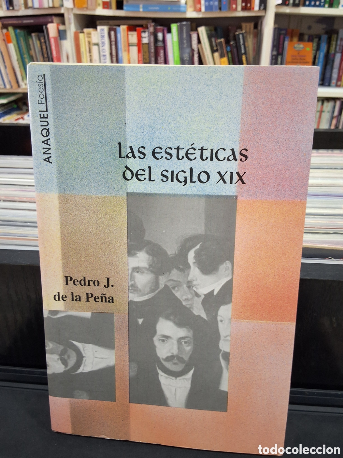 Libros de segunda mano: LAS EST&Eacute;TICAS DEL SIGLO XIX - PEDRO J. DE LA PE&Ntilde;A - ENV&Iacute;O DESDE 1&euro;