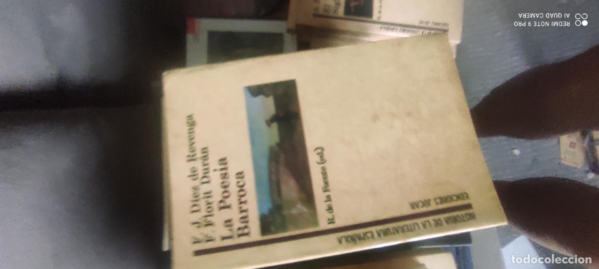 Libros de segunda mano: La poes&iacute;a barroca. Diez, florit