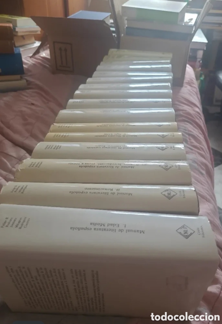 Libros de segunda mano: Manual de literatura espa&ntilde;ola Felipe B. Pedraza
