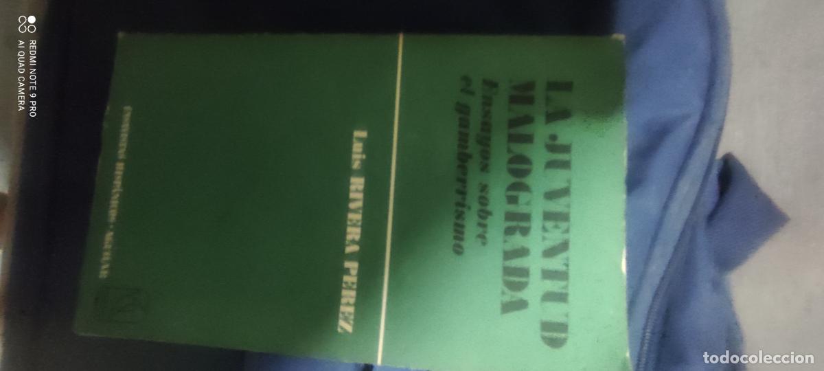 Libros de segunda mano: La juventud malograda. Ensayos sobre el gamberrismo. Luis Rivera P&eacute;rez.