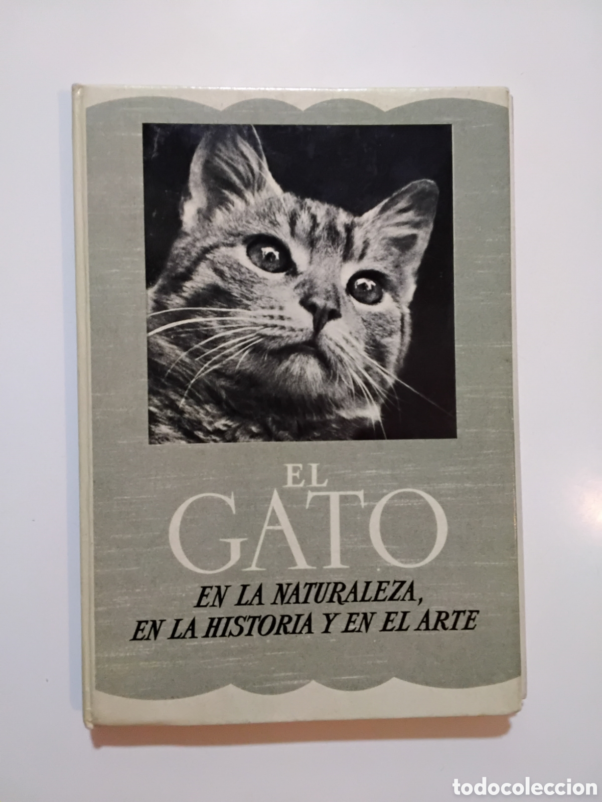 Libros de segunda mano: Marcelo Uz&eacute; &ndash; El gato en la naturaleza, en la historia y en el arte &ndash; Editorial Larousse &ndash; 1952