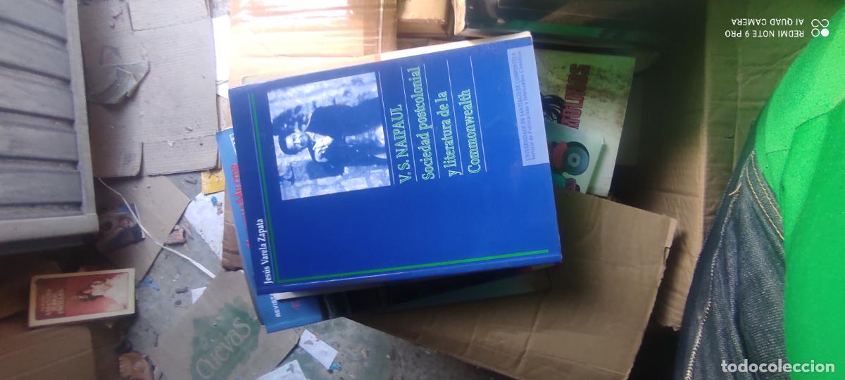 Libros de segunda mano: Sociedad Postcolonial y literatura de la Commanwealth. V.S. Naipaul