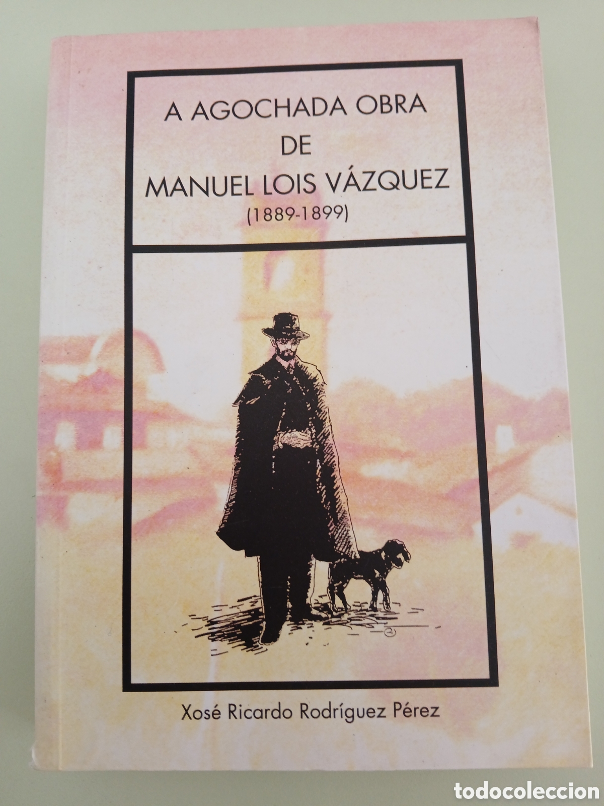 Libros de segunda mano: A agochada obra de Manuel Lois V&aacute;zquez. X. Ricardo Rodr&iacute;guez. GALICIA.