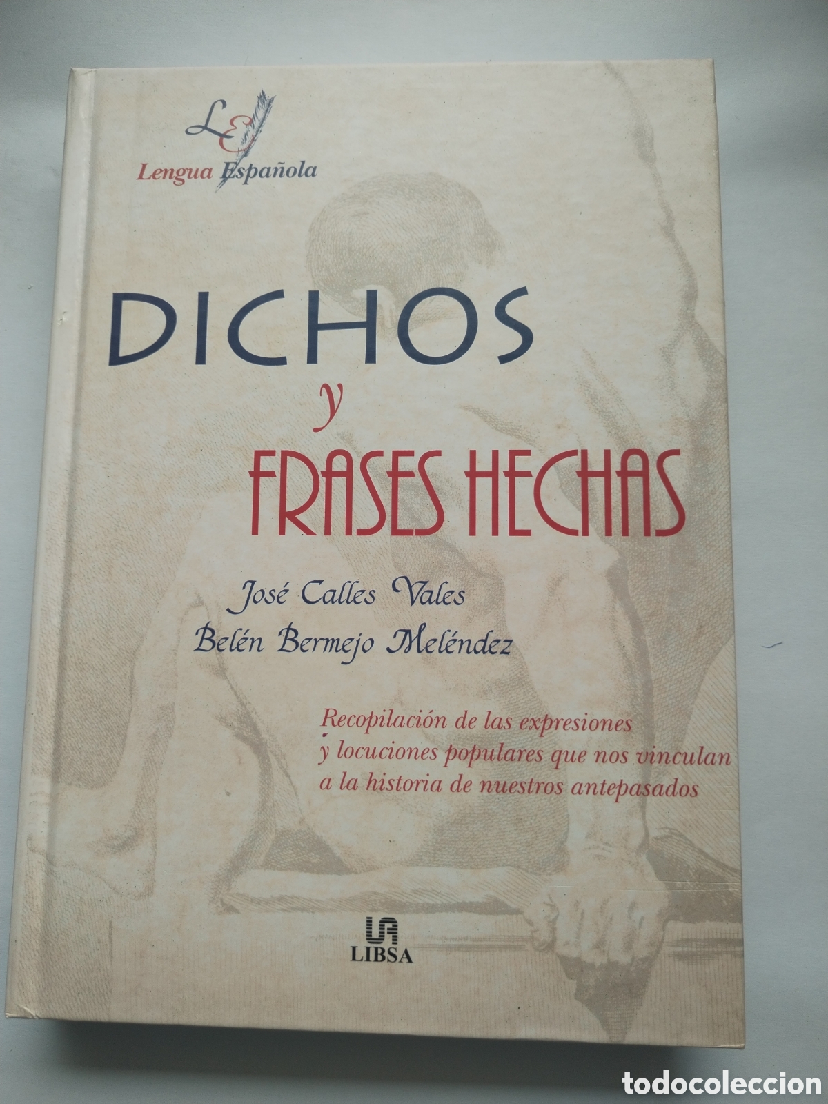 Libros de segunda mano: DICHOS Y FRASES HECHAS/VV. AA.