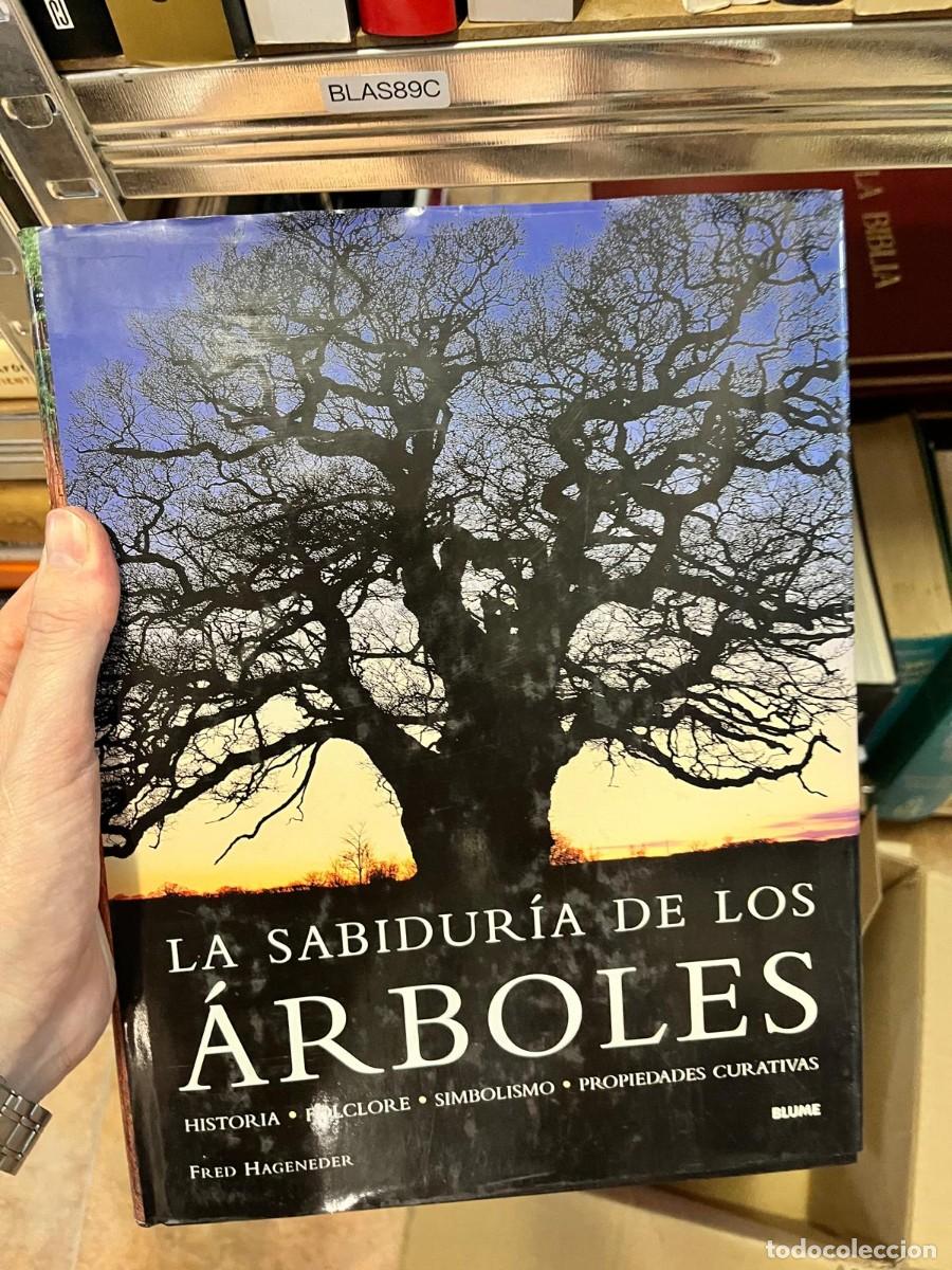 Libros de segunda mano: BLAS89C Fred Hageneder, La sabidur&iacute;a de los &aacute;rboles, Blume.