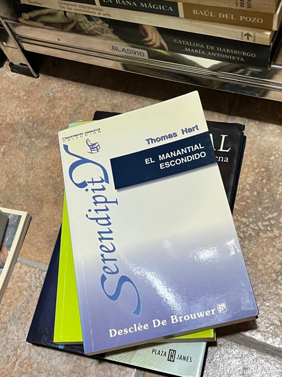 Libros de segunda mano: BLAS91B Thomas Hart, El manantial escondido, Descl&eacute;e De Brouwer