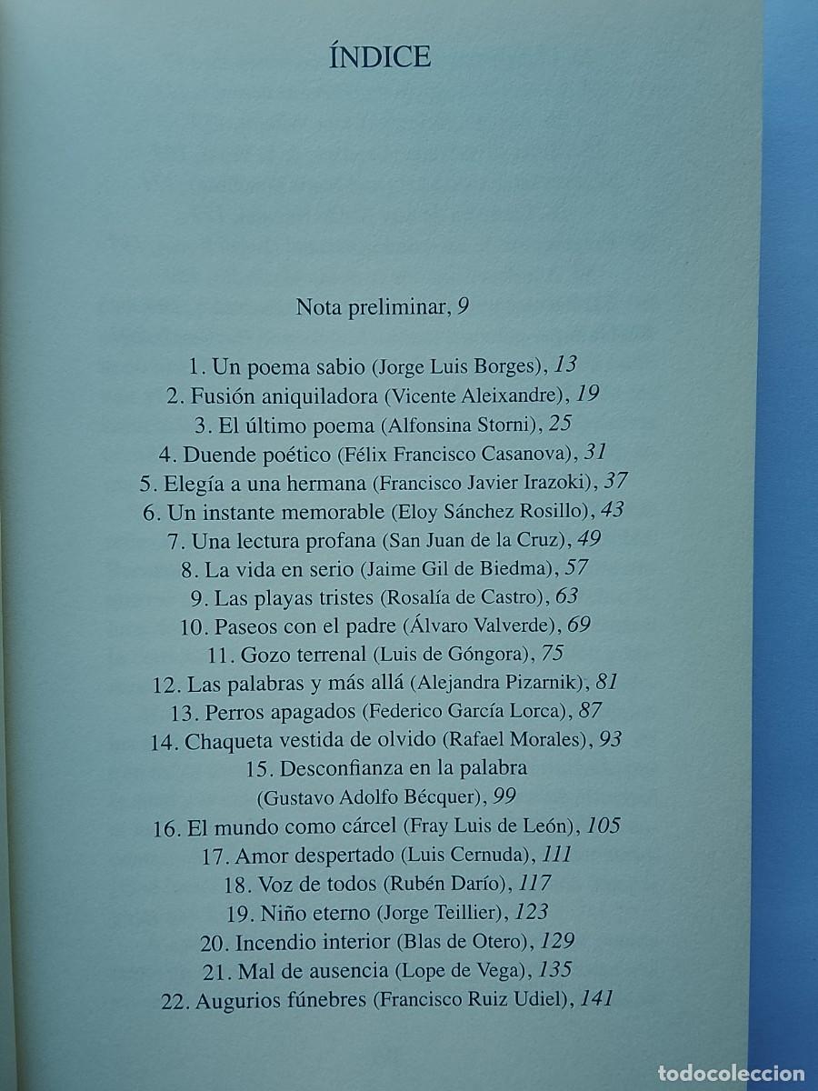 Libros de segunda mano: Fernando Aramburu, Vetas profundas - Foto 4