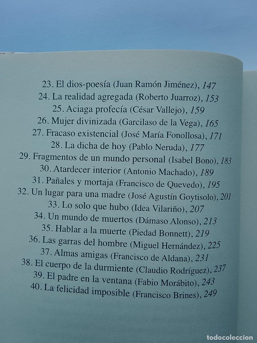 Libros de segunda mano: Fernando Aramburu, Vetas profundas - Foto 5