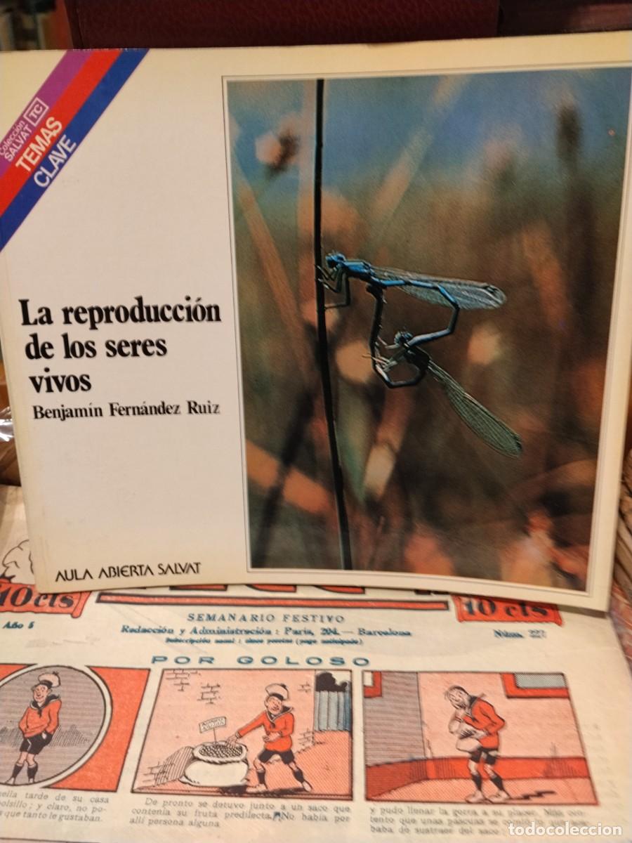 Libri di seconda mano: Benjam&iacute;n Fern&aacute;ndez Ruiz. La reproducci&oacute;n de los seres vivos
