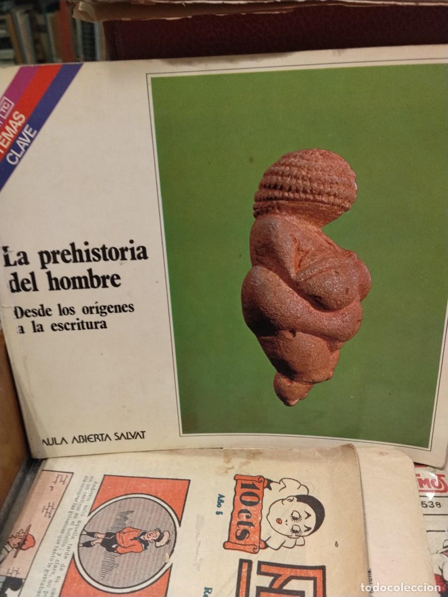 Gebrauchte B&uuml;cher: La prehistoria del hombre. Desde los or&iacute;genes a la escritura