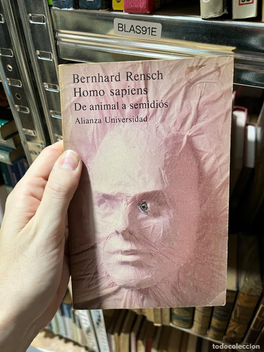 Libros de segunda mano: BLAS91E Bernhard Rensch Homo sapiens De animal a semidi&oacute;s Alianza Universidad