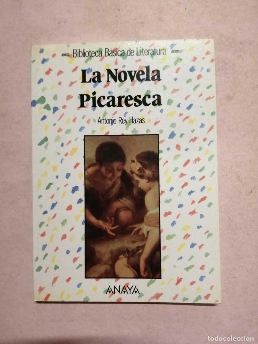 Libros de segunda mano: LA NOVELA PICARESCA (ANTONIO REY HAZAS)