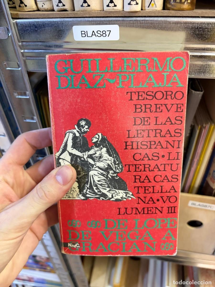 Libros de segunda mano: BLAS87 Guillermo D&iacute;az-Plaja Tesoro breve de las literaturas hisp&aacute;nicas. Volumen III: De Lope de Vega