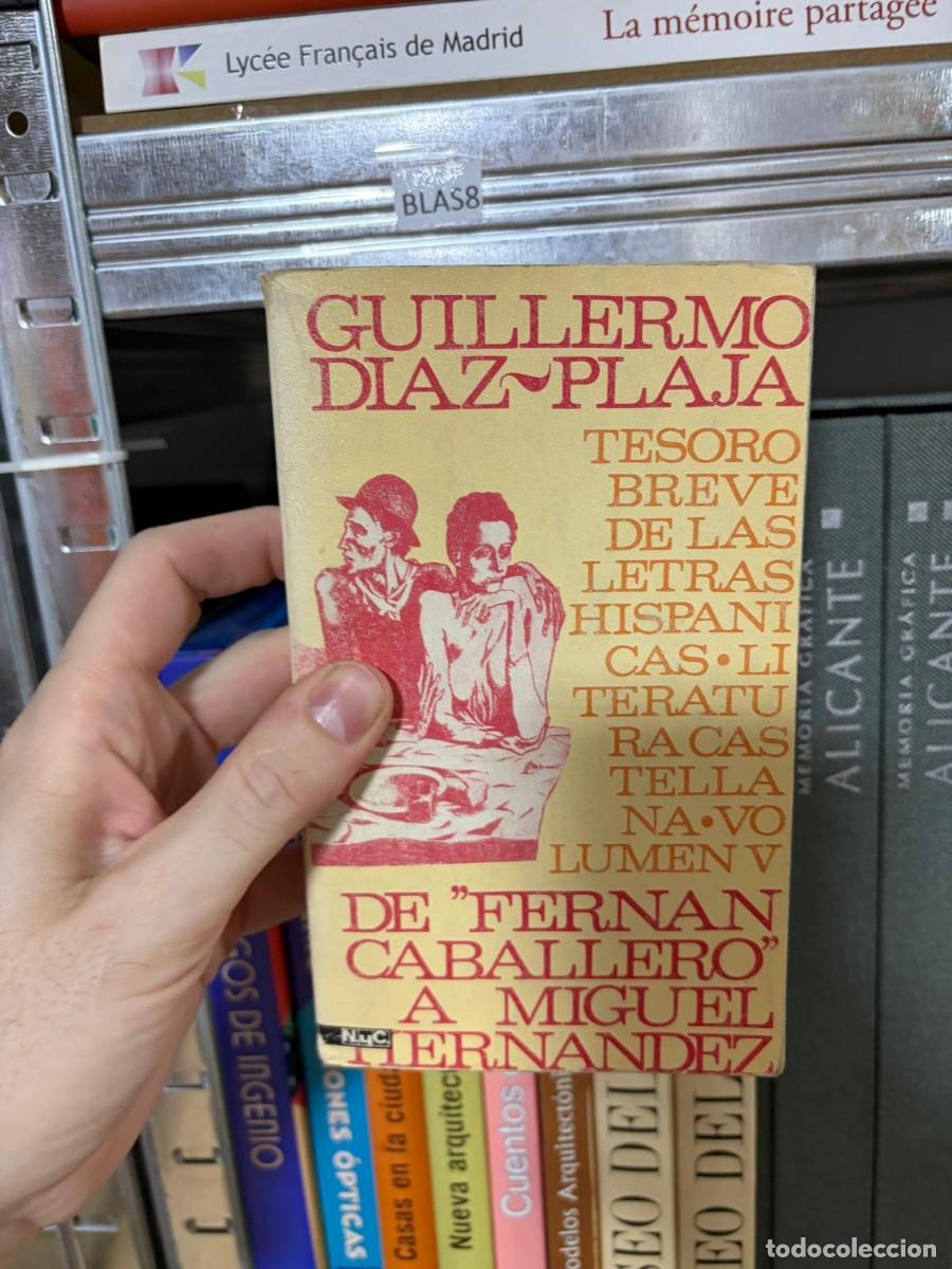 Libros de segunda mano: BLAS87 Guillermo D&iacute;az-Plaja Tesoro breve de las literaturas hisp&aacute;nicas. Volumen V: De &rdquo;Fern&aacute;n Caball