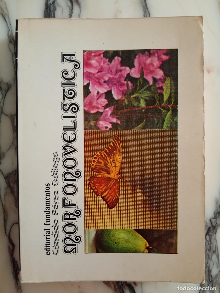 Libros de segunda mano: C&aacute;ndido P&eacute;rez Gallego. Morfonovel&iacute;stica (hacia una sociolog&iacute;a del hecho novel&iacute;stico)