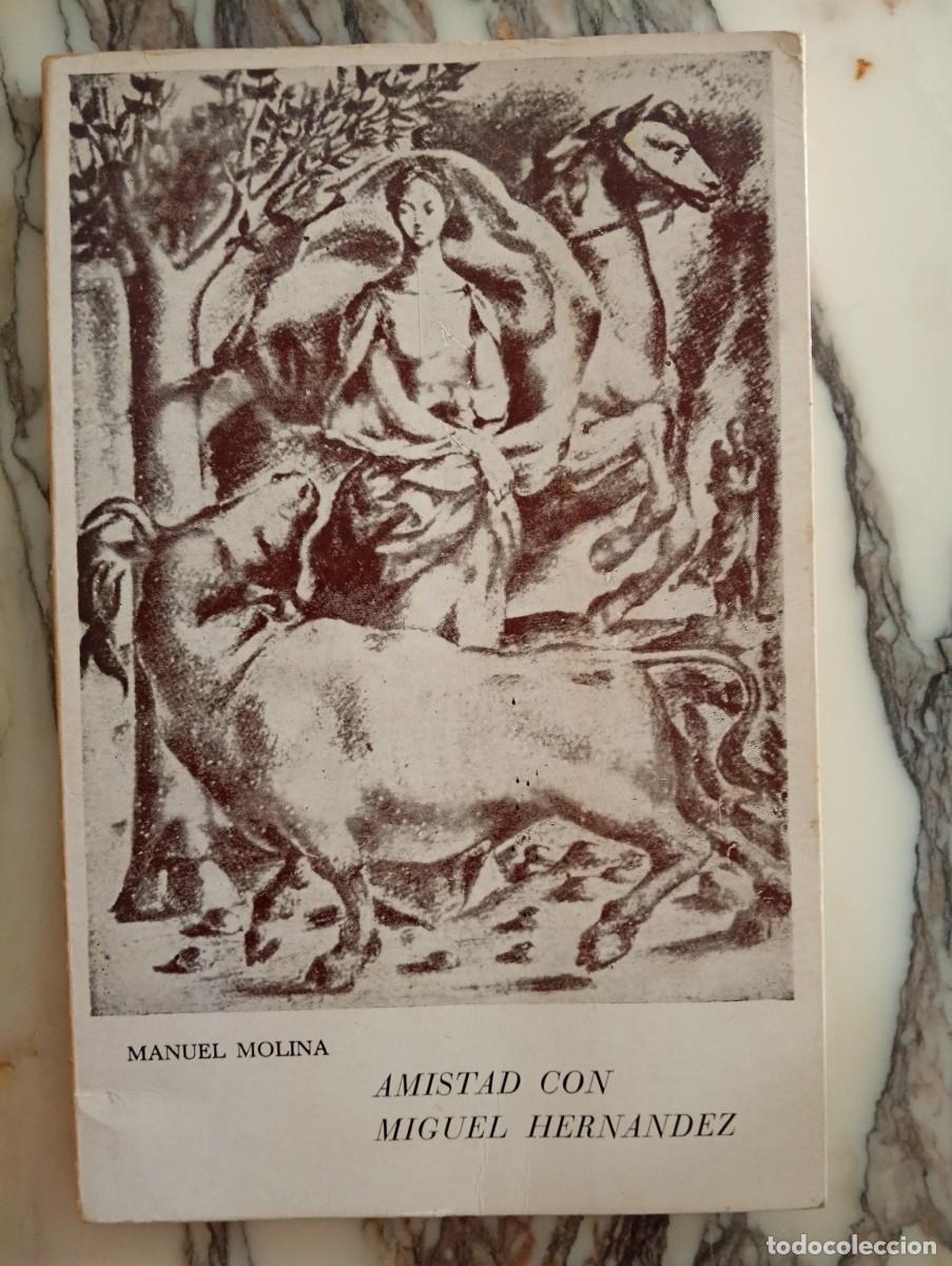 Libros de segunda mano: Manuel Molina. Amistad con Miguel Hern&aacute;ndez