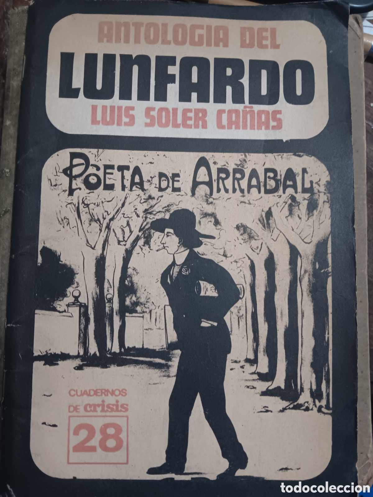 Libros de segunda mano: ANTOLOG&Iacute;A DEL LUNFARDO LUIS SOLER CA&Ntilde;AS