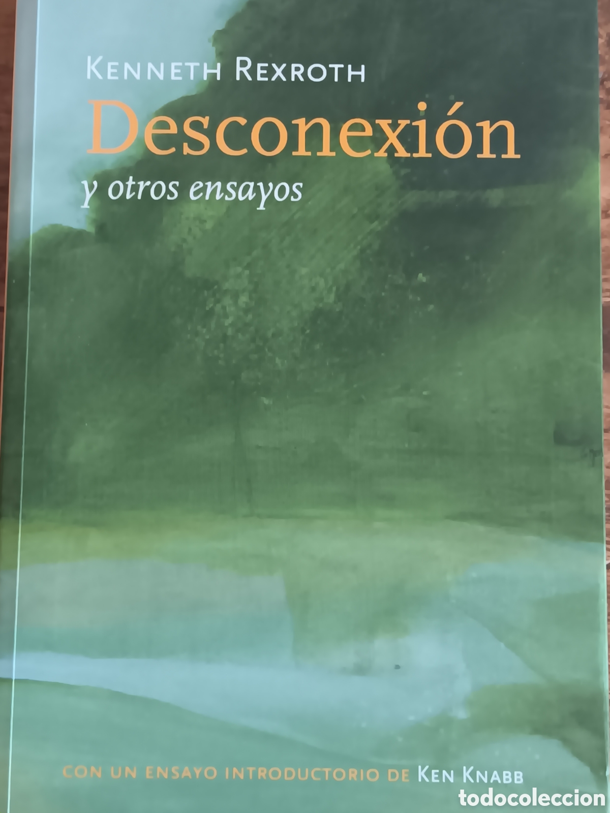 Libros de segunda mano: DESCONEXI&Oacute;N Y OTROS ENSAYO KENNETH REXROTH CON UN ENSAYO INTRODUCTORIO DE KEN KNABB
