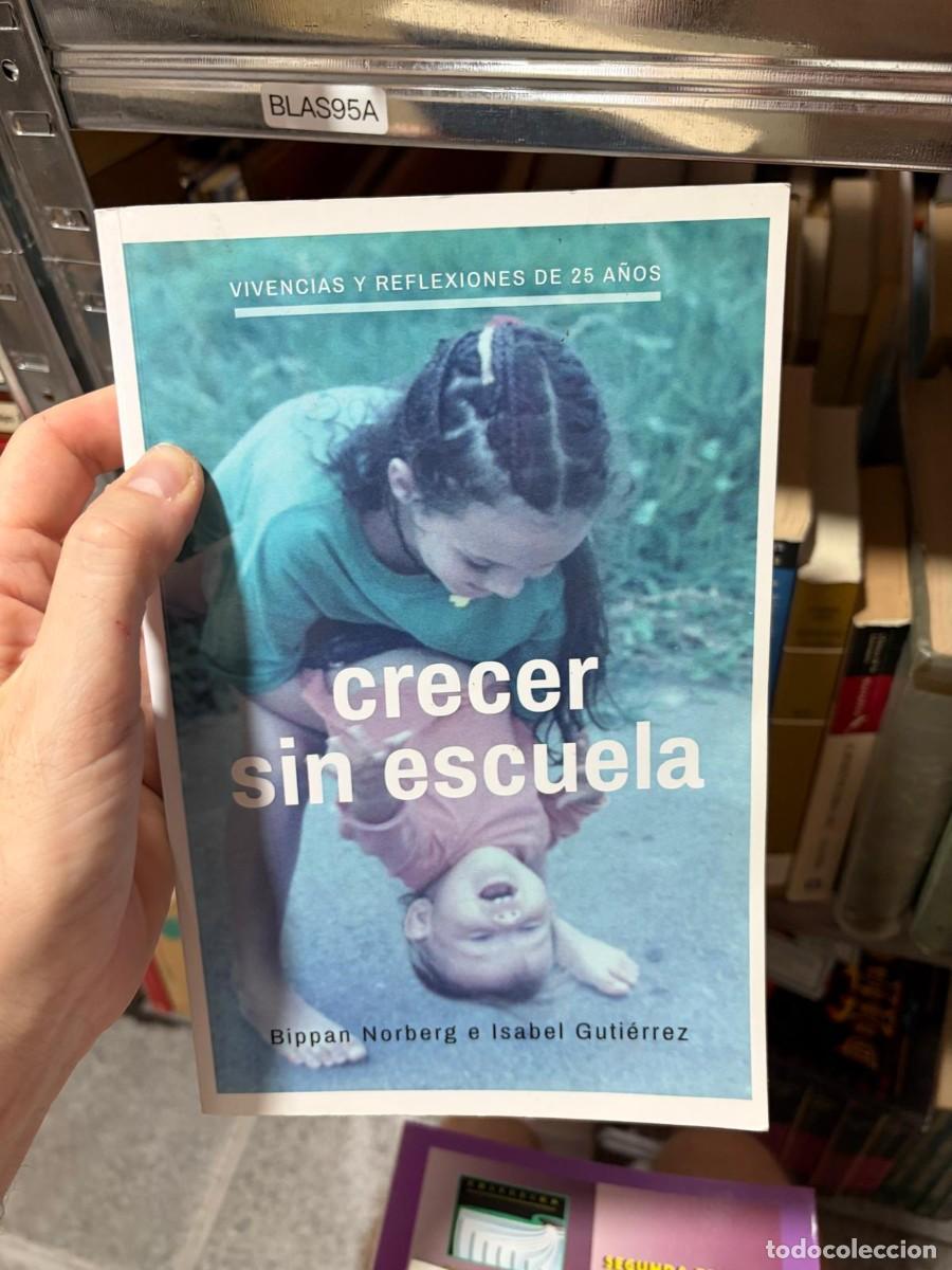 Libros de segunda mano: BLAS95A Crecer sin escuela. Vivencias y reflexiones de 25 a&ntilde;os Bippan Norberg e Isabel Guti&eacute;rrez