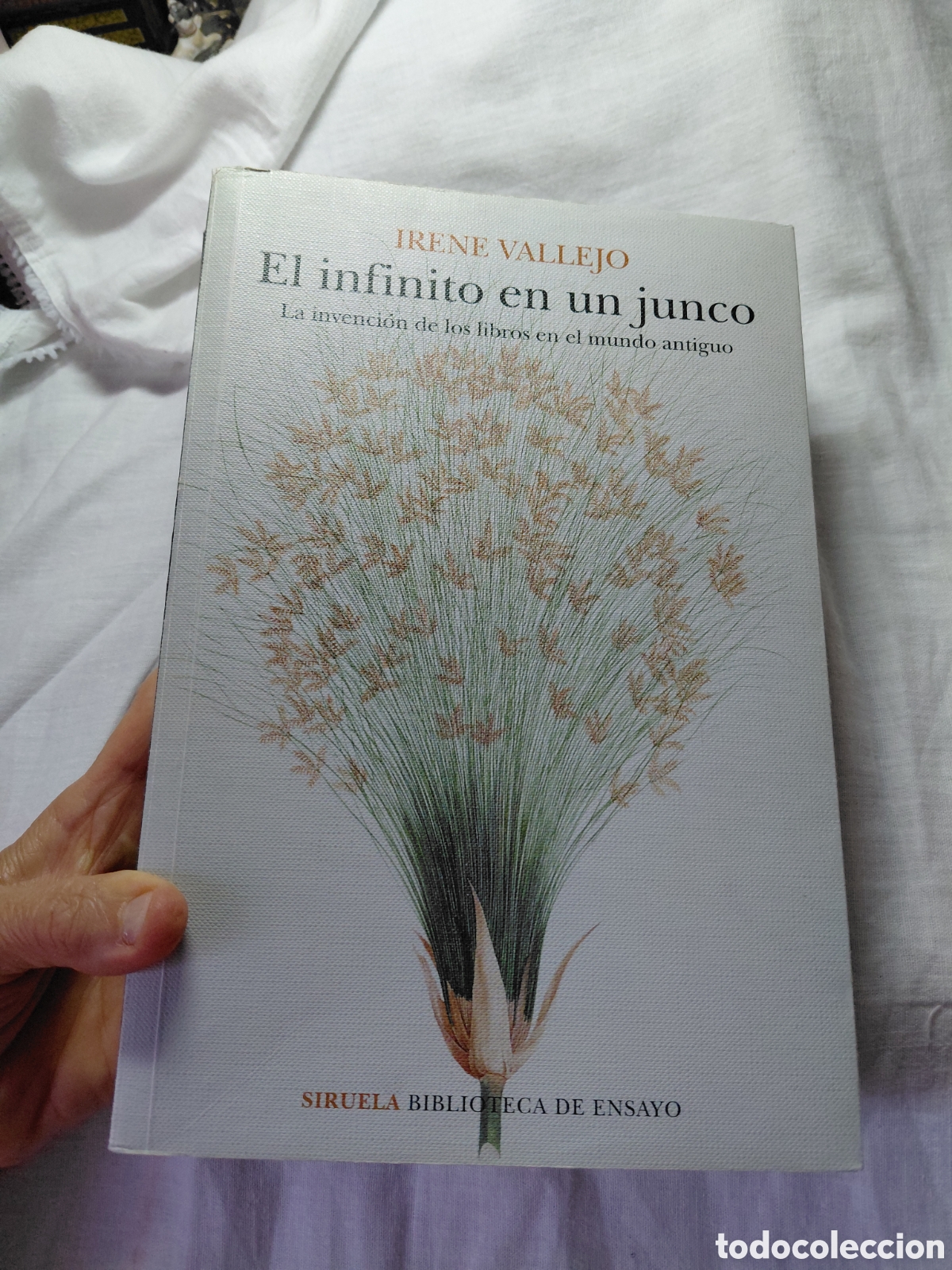 Libros de segunda mano: EL INFINITO ES UN JUNCO.LA INVENCION DE LOS LIBROS EN EL MUNDO ANTIGUO.IRENE VALLEJO.SIRUELA 2021