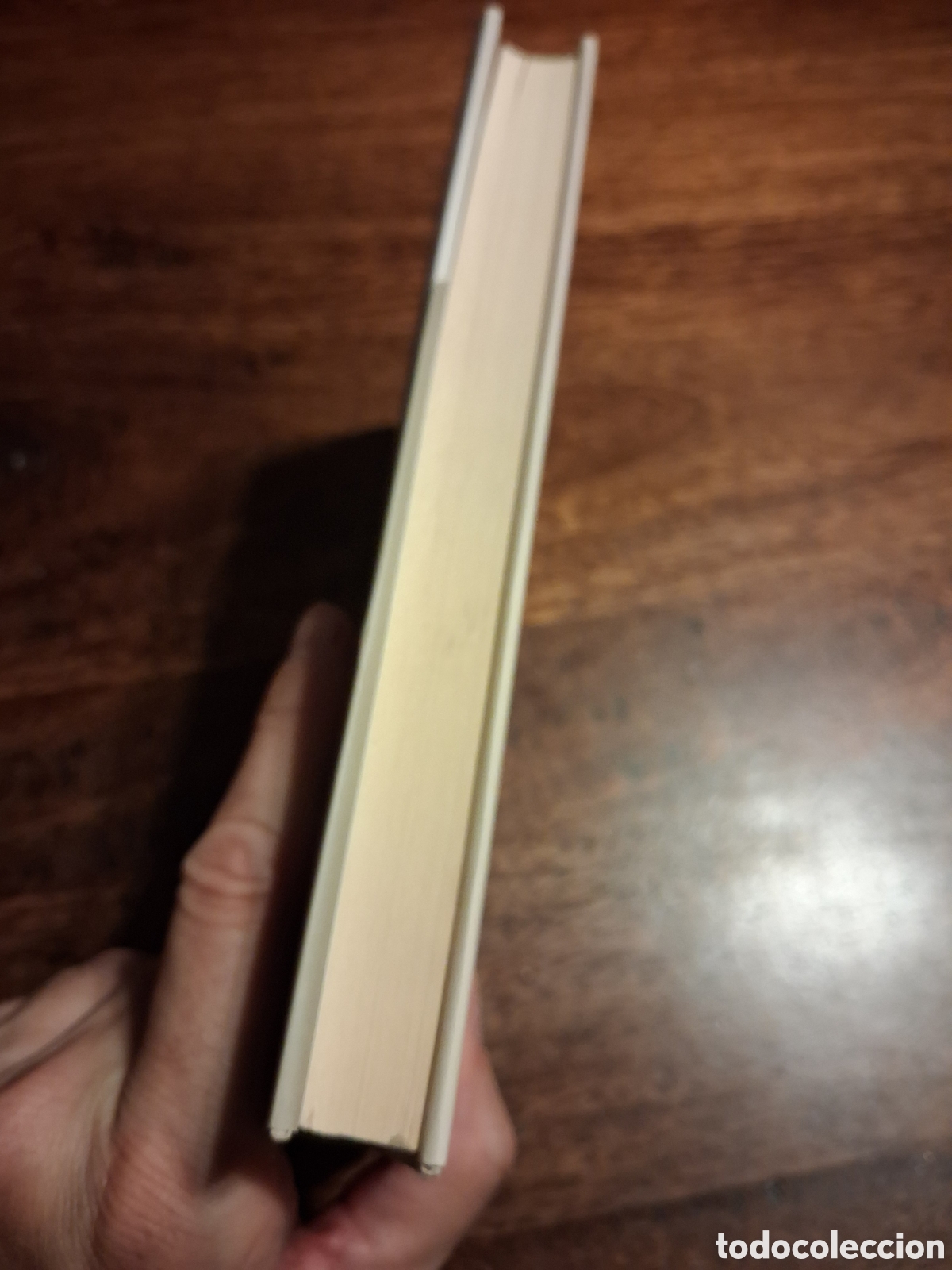 Libros de segunda mano: Primo Levis Universe: A Writers Journey, Sam Magavern - Foto 3