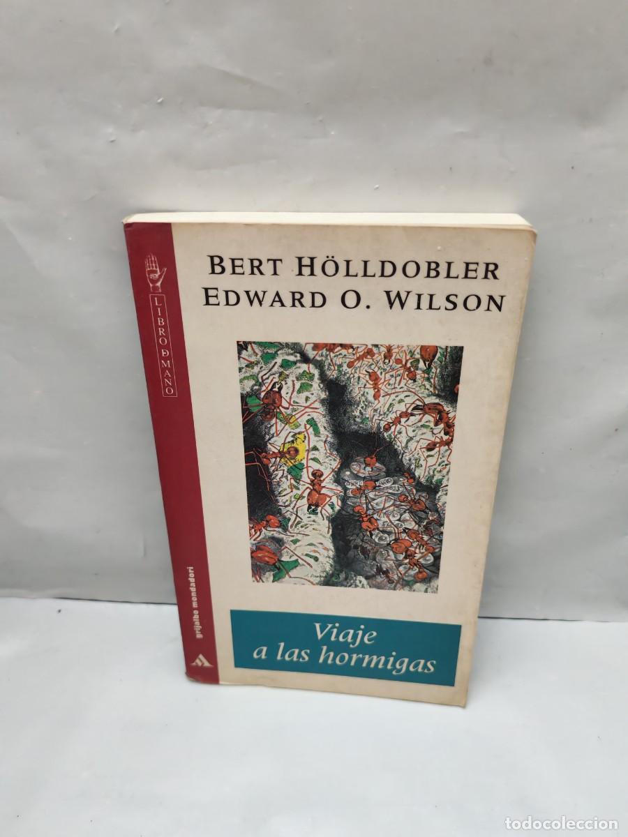 Libros de segunda mano: Viaje a las hormigas: Una historia de exploraci&oacute;n cient&iacute;fica (1&ordf; edici&oacute;n, Colecci&oacute;n: Libro D Mano)