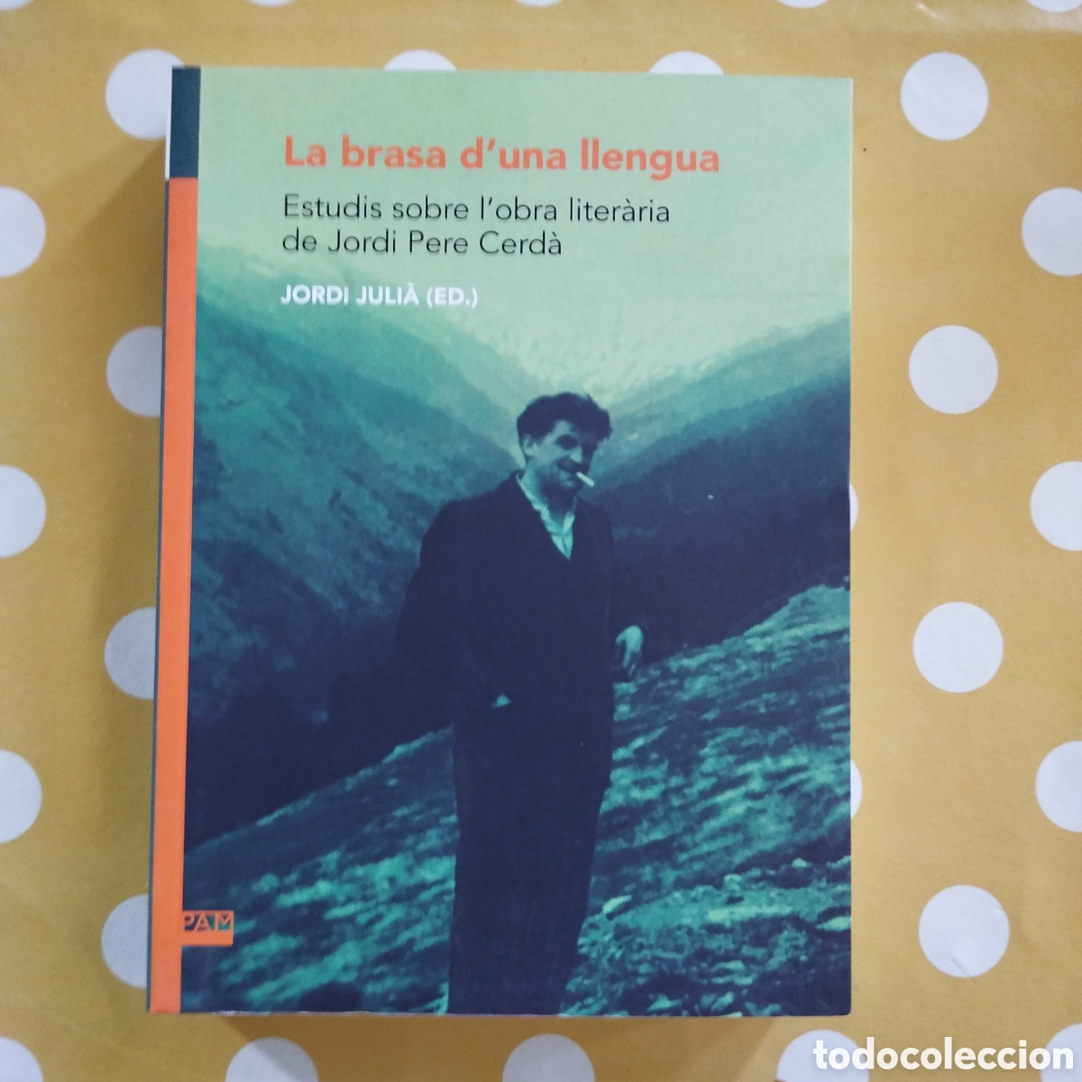 Libros de segunda mano: LA BRASA D'UNA LLENGUA JORDI JULI&Agrave; ESTUDIS L'OBRA LITER&Agrave;RIA JORDI PERE CERD&Agrave; 2022 NOU