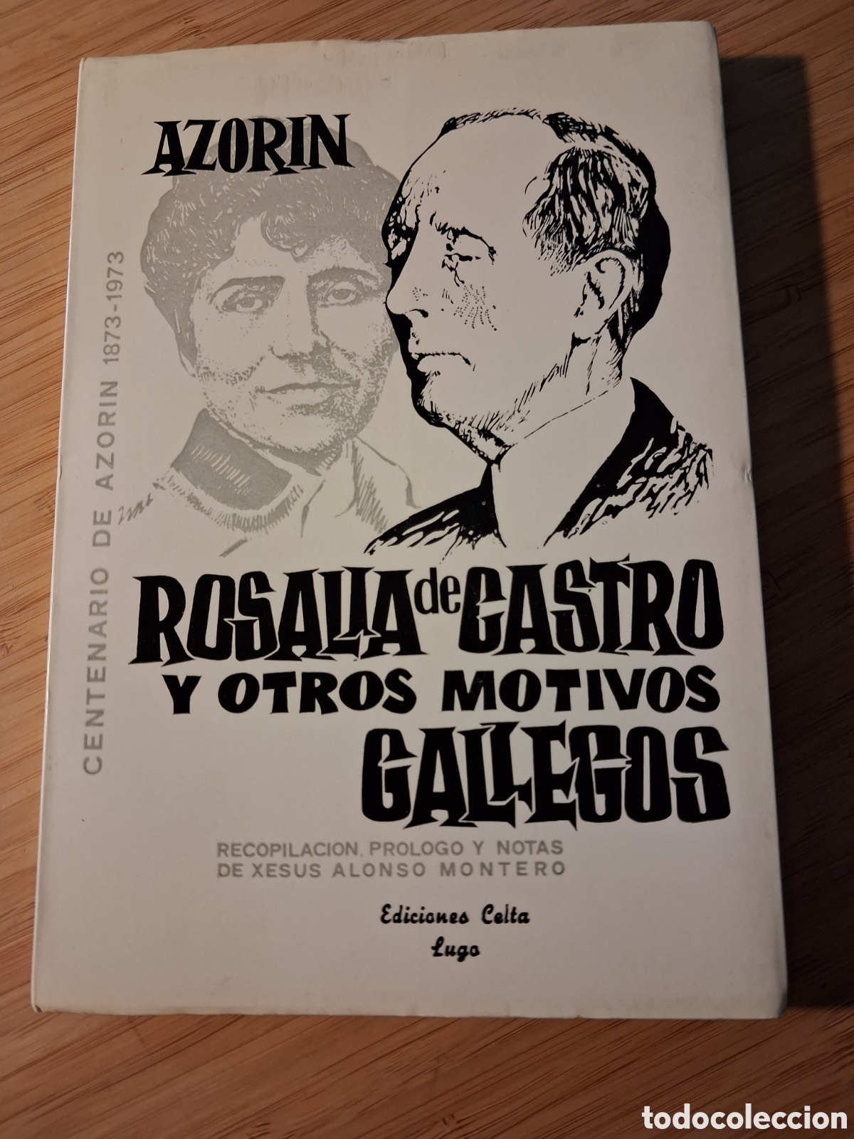 Libros de segunda mano: Rosal&iacute;a de Castro y otros motivos gallegos - Azor&iacute;n (Celta 1973)