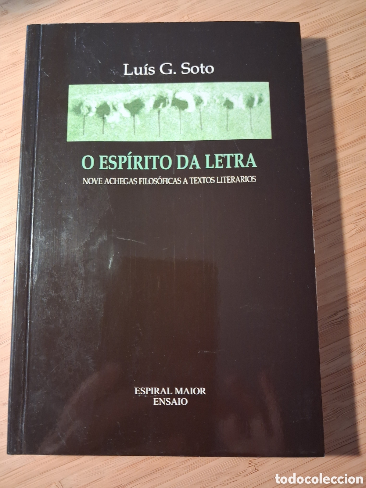 Libros de segunda mano: (Gallego) O esp&iacute;rito da letra - Lu&iacute;s G. Soto (Espiral Maior 2008)