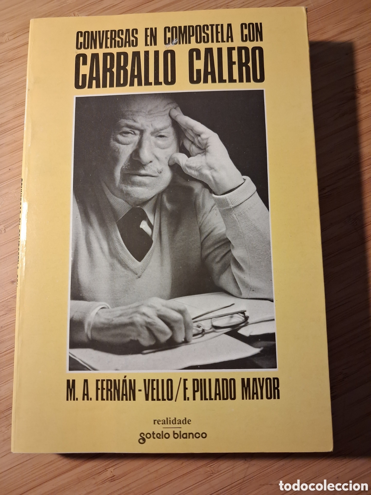 Libros de segunda mano: (Gallego) Conversas en Compostela con Carballo Calero - Fern&aacute;n-Vello y Pillado Mayor