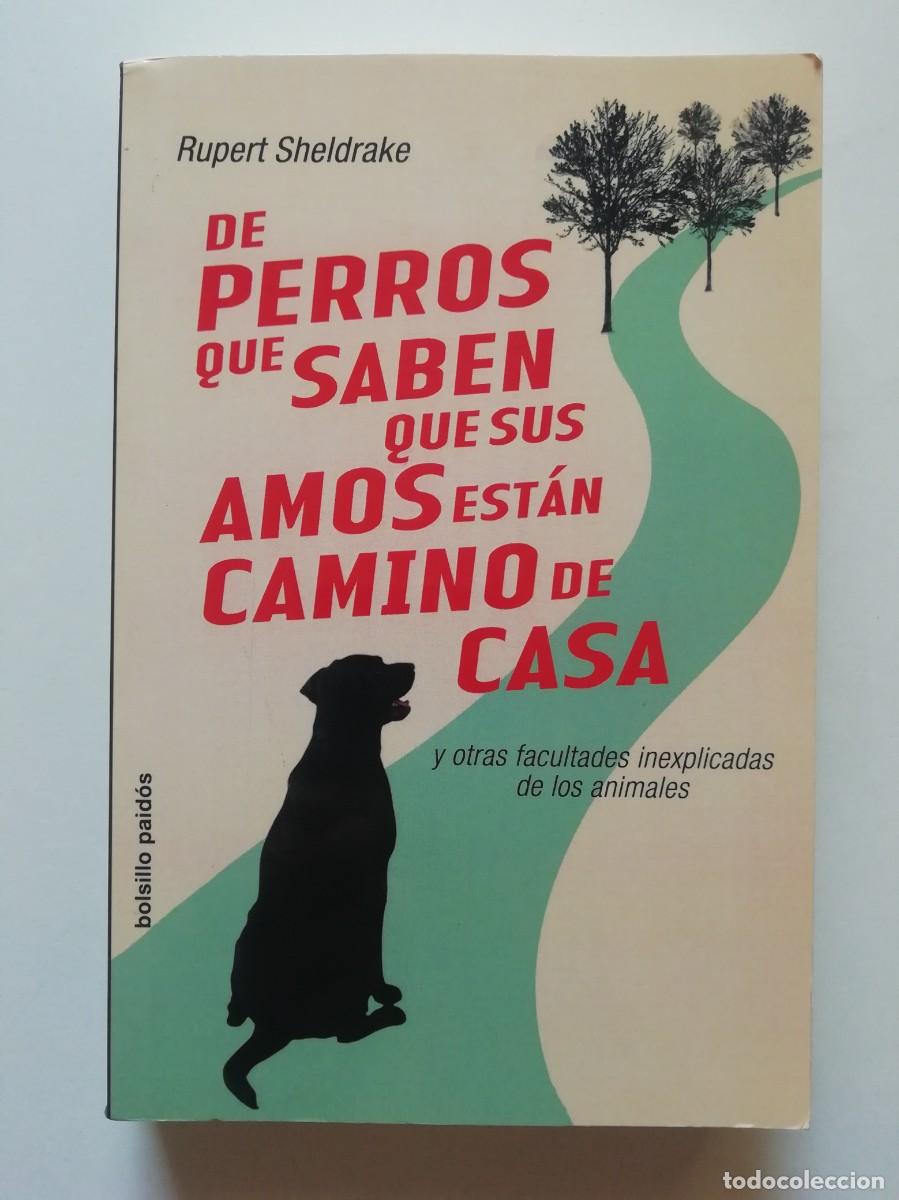Libros de segunda mano: DE PERROS QUE SABEN QUE SUS AMOS EST&Aacute;N CAMINO DE CASA - RUPERT SHELDRAKE - ED. PAID&Oacute;S 2007